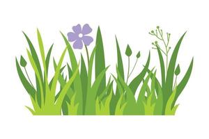 groen gras illustratie. groen gazon, bloem, natuurlijk grenzen, kruiden. vlak vector illustraties voor lente, zomer, natuur, grond, planten concept.