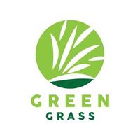 groen gras logo, natuur fabriek vector, landbouw blad gemakkelijk ontwerp, sjabloon icoon illustratie vector