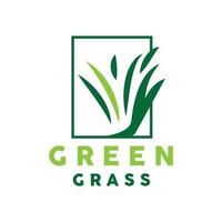 groen gras logo, natuur fabriek vector, landbouw blad gemakkelijk ontwerp, sjabloon icoon illustratie vector