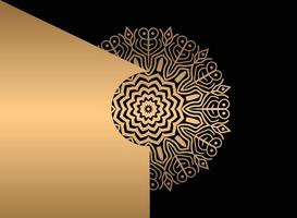 mandala. etnisch decoratief element. hand- getrokken achtergrond. Islam, Arabisch, Indisch, poef motieven. vector