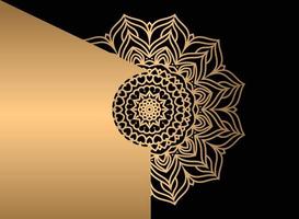 mandala. etnisch decoratief element. hand- getrokken achtergrond. Islam, Arabisch, Indisch, poef motieven. vector