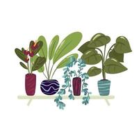 biologisch vlak kamerplant verzameling vector illustratie. geïsoleerd Aan wit,