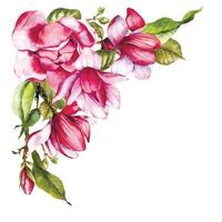 roze magnolia bloem boeket waterverf illustratie, magnolia arrangement Aan wit achtergrond, voorjaar bloemen illustratie vector