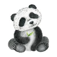 schattig zitten panda. geïsoleerd Aan een wit achtergrond. waterverf illustratie. dier van de wild. vector