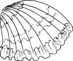 schetsen oester Aan een wit achtergrond vector