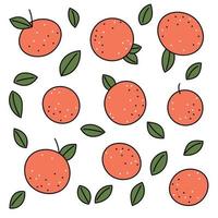 verzameling van grapefruits met bladeren in vlak stijl met beroerte vector