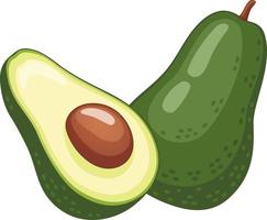 twee avocado helften vector illustratie