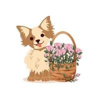 gelukkig chihuahua puppy en een mand van bloemen. vector illustratie.