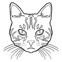 kat gezicht vector beeld illustraties