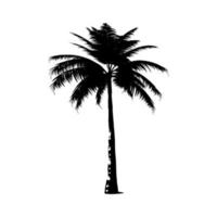 zwart palm silhouet. vector illustratie