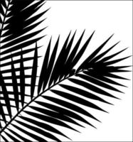 palm blad silhouet. vector illustratie