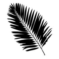 palm blad silhouet. vector illustratie