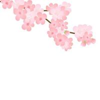 vector illustratie van bloeien Afdeling met roze bloemen, knoppen, bloemblaadjes vliegen. realistisch ontwerp geïsoleerd transparant achtergrond. bloeiend boom twijgen set, bloesem verzameling.