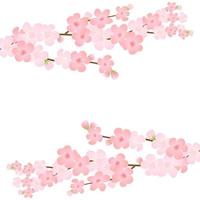 vector illustratie van bloeien Afdeling met roze bloemen, knoppen, bloemblaadjes vliegen. realistisch ontwerp geïsoleerd transparant achtergrond. bloeiend boom twijgen set, bloesem verzameling.