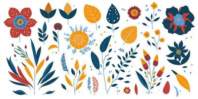 botanisch kunst afdrukken. reeks van vector illustraties voor natuur geliefden