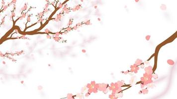 sakura Afdeling met vallend bloemblaadjes vector illustratie. roze kers bloesem Aan transparant achtergrond