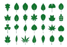 een reeks van geïsoleerd groen bladeren. vector illustratie.