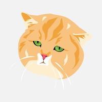 portret van kat gezicht. schattig oranje en slaperig kat. vector illustratie.