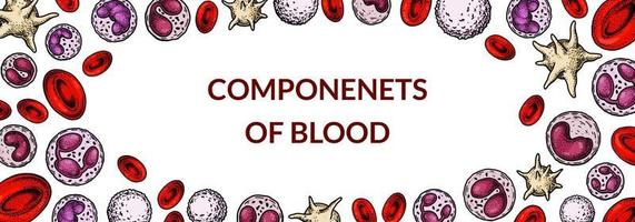 bloed cellen achtergrond. ontwerp voor bloed testen, Bloedarmoede, bijdrage, hemofilie, laboratorium wetenschappelijk Onderzoek concepten. vector illustratie in schetsen stijl