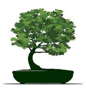 vorm van boom Aan pot. vector schets illustratie van bonsai.