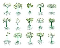 reeks groen jong bomen. vector illustratie.