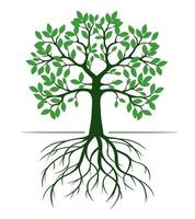 vorm van groen boom met bladeren en wortels. vector schets illustratie.