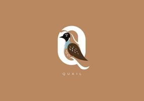 kwartel q monogram, vector logo