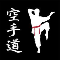 logos en symbolen over karate vector