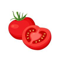 rood tomaten Aan een wit achtergrond. vector