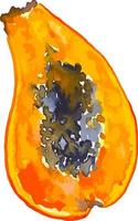 waterverf plak van papaja tropisch fruit clip art vector
