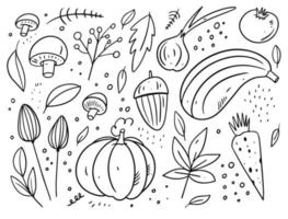herfst elementen. bladeren en voedsel elementen. zwart kleur tekenfilm stijl. vector