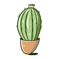 kamerplant schattig cactus in een pot. hand- getrokken vector illustratie. vlak tekenfilm stijl. geïsoleerd Aan wit achtergrond.