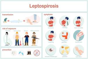 vector illustraties infographic van leptospirose.voorbeelden van groepen Bij risico van infectie zijn boeren, dierenartsen, soldaten en riool werknemers.symptomen en het voorkomen methoden van leptospirose