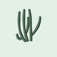 groen natuurlijk cactus fabriek reeks van woestijn tussen zand en rotsen. realistisch vector illustratie geïsoleerd Aan achtergrond elementen.