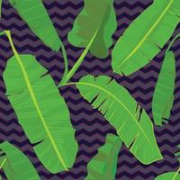 naadloos hand- getrokken tropisch patroon met palm banaan bladeren, oerwoud exotisch blad Aan donker achtergrond vector