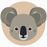 gemeenschappelijk koala herbivoor zoogdier dier gezicht vector