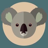 gemeenschappelijk koala herbivoor zoogdier dier gezicht vector