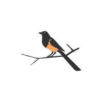 een lang staart ekster vogel zit Aan een Afdeling illustratie vector
