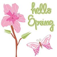 schattig hand- getrokken belettering Hallo voorjaar tekst met perzik boom roze bloemen en vlinder vector illustratie kaart