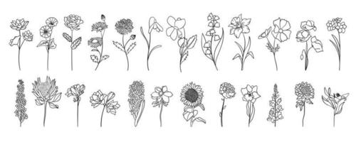 realistisch bloemen lijn kunst set. perfect voor illustraties. vector