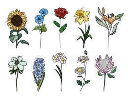 realistisch kleurrijk bloemen set. perfect voor illustraties en botanisch onderwijs. vector