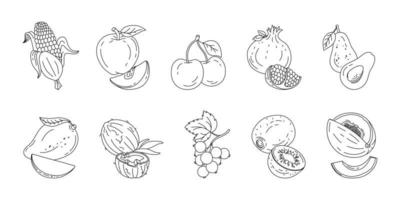 fruit en bessen tekening reeks vector zwart en wit illustratie geïsoleerd Aan een wit achtergrond