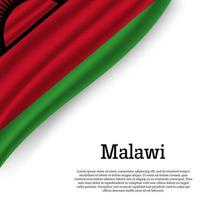 wapperende vlag van malawi vector