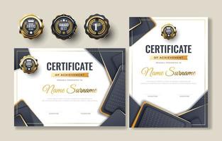 professioneel certificaat sjabloon vector