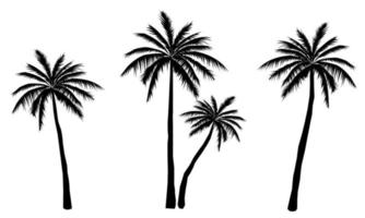 verzameling van zwart kokosnoot of palm bomen icoon. kan worden gebruikt naar illustreren ieder natuur of gezond levensstijl onderwerp. vector