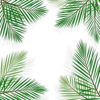 groen palm blad vector achtergrond illustratie.