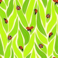 lieveheersbeestje naadloos patroon voor decoratieontwerp vector