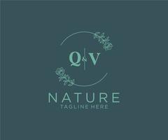 eerste qv brieven botanisch vrouwelijk logo sjabloon bloemen, bewerkbare premade monoline logo geschikt, luxe vrouwelijk bruiloft branding, zakelijk. vector