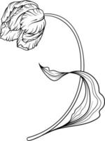 lineair tulp bloem. hand- getrokken illustratie. deze kunst is perfect voor uitnodiging kaarten, voorjaar en zomer decor, groet kaarten, affiches, scrapbooken, afdrukken, enz. vector