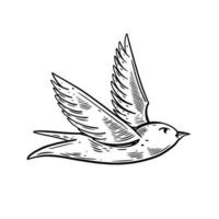 hand- getrokken zee meeuw vogel gravure tatoeëren stijl vector illustratie.